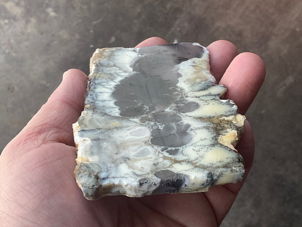 94g Australian Dendritic Common Opal with Chalcedony Slab A
