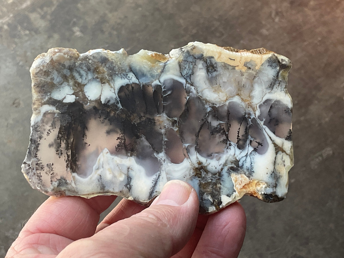 94g Australian Dendritic Common Opal with Chalcedony Slab A