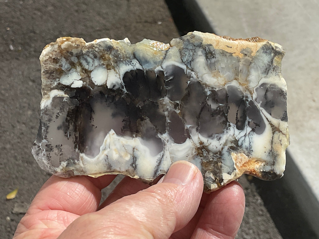94g Australian Dendritic Common Opal with Chalcedony Slab A