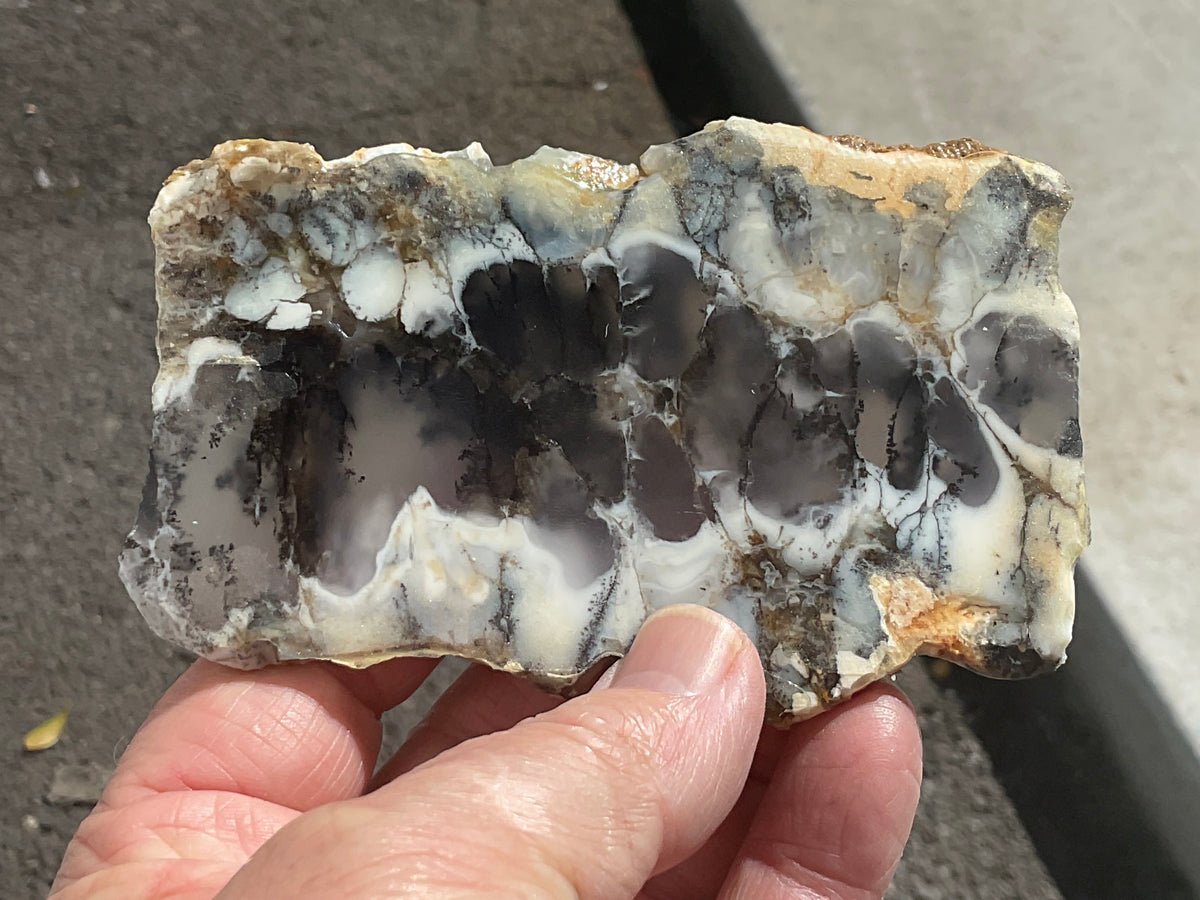 94g Australian Dendritic Common Opal with Chalcedony Slab A