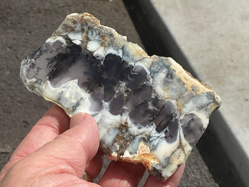 94g Australian Dendritic Common Opal with Chalcedony Slab A
