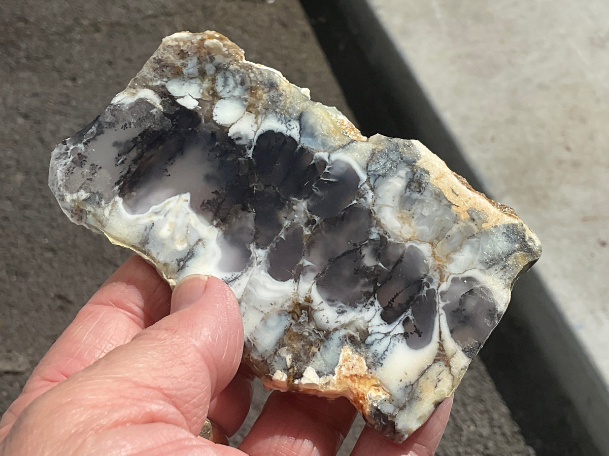 94g Australian Dendritic Common Opal with Chalcedony Slab A