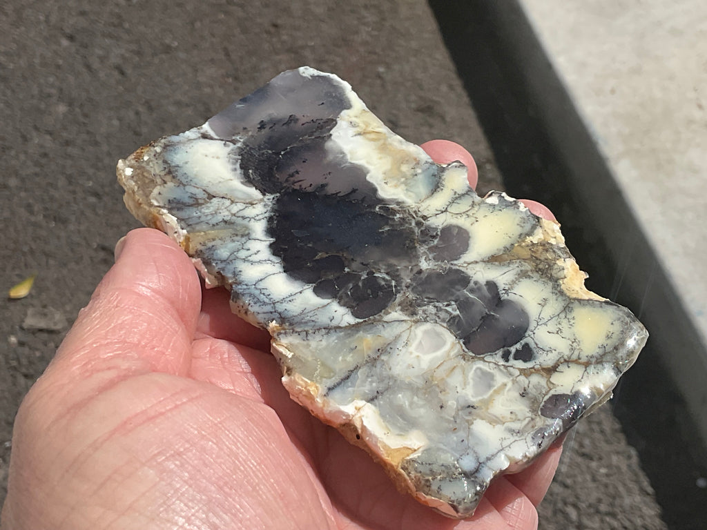 94g Australian Dendritic Common Opal with Chalcedony Slab A