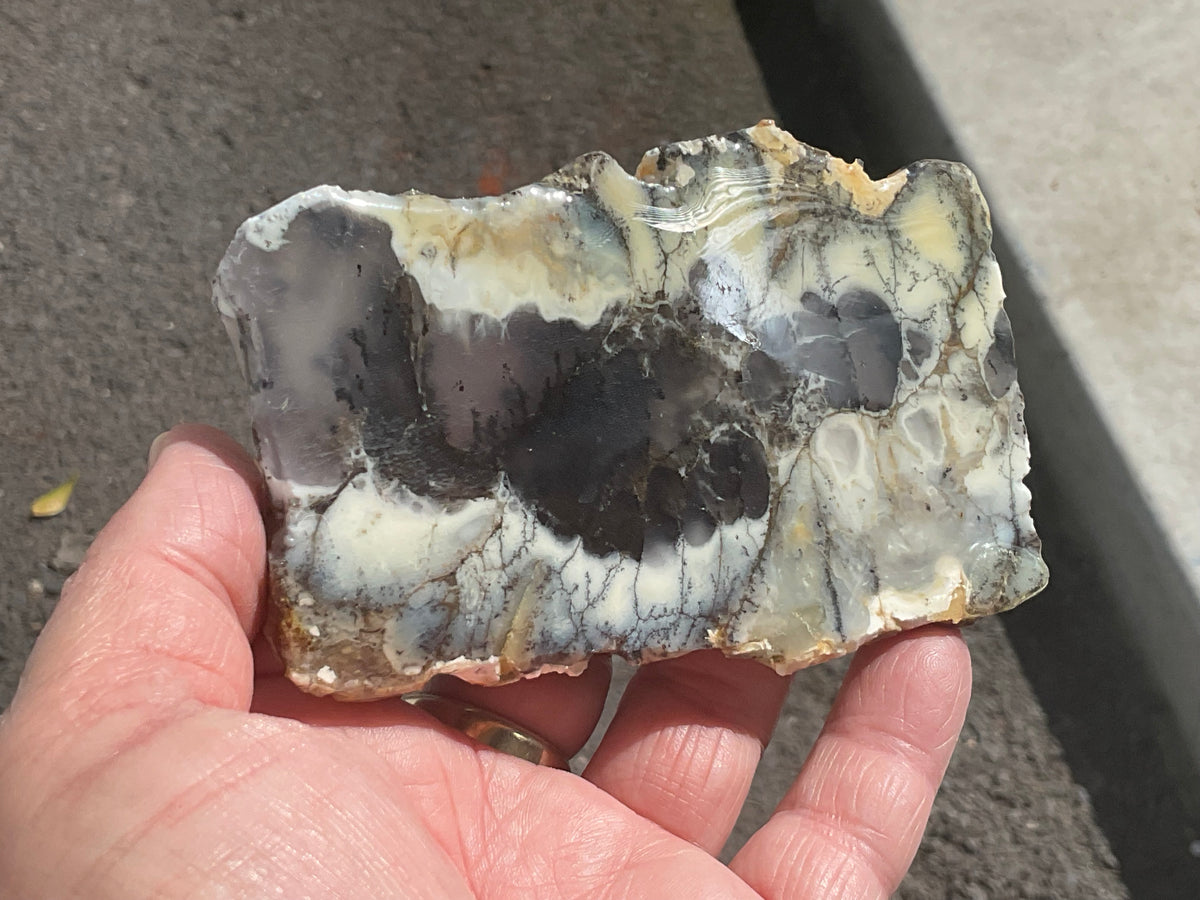 94g Australian Dendritic Common Opal with Chalcedony Slab A