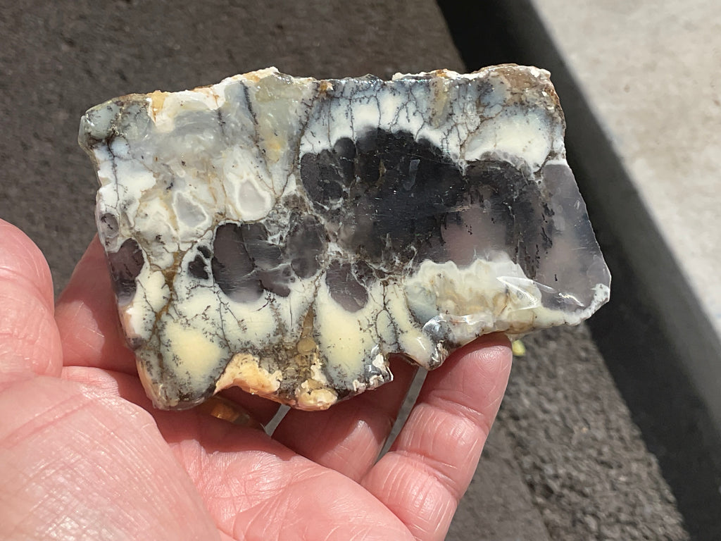 94g Australian Dendritic Common Opal with Chalcedony Slab A