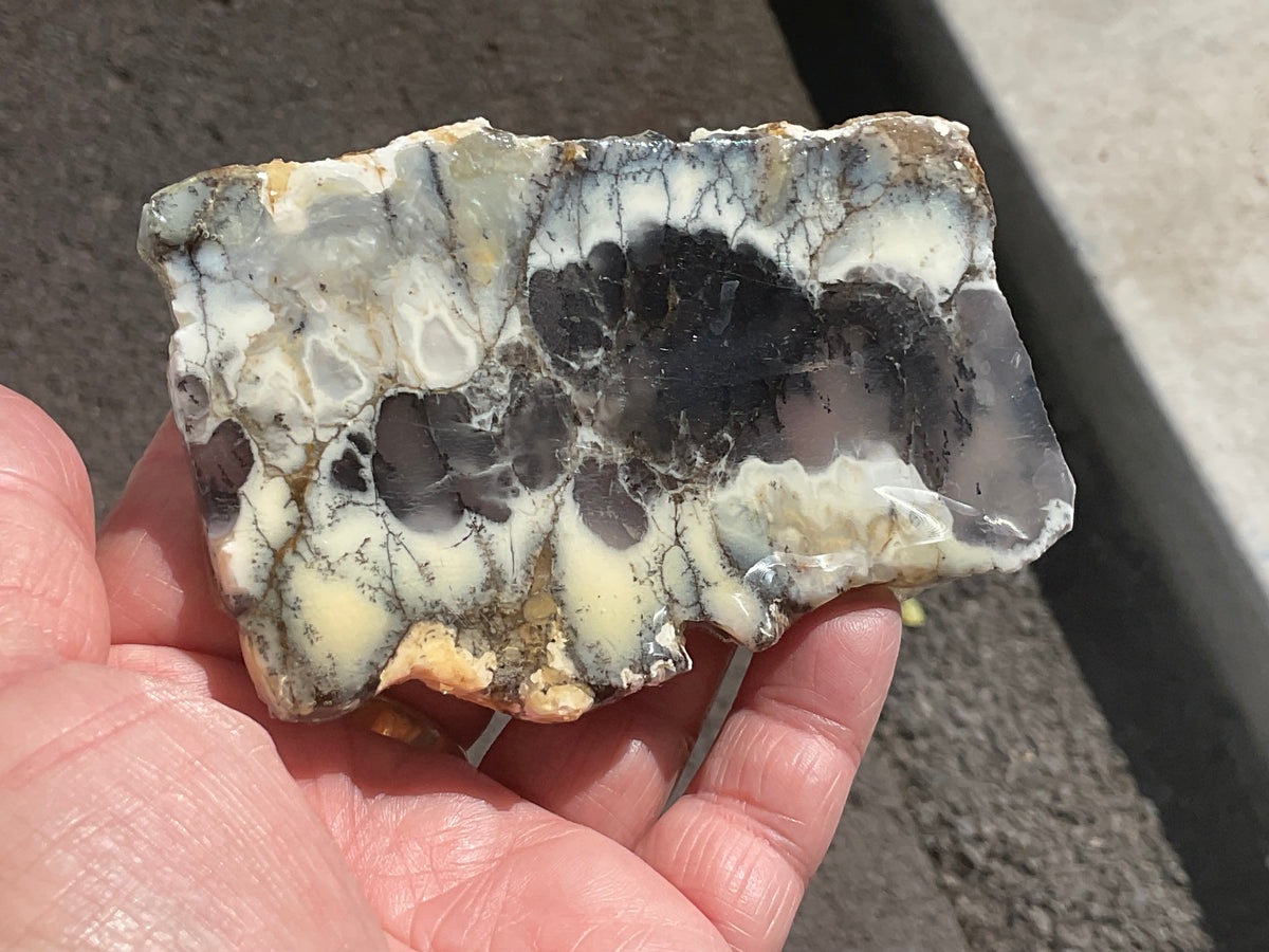 94g Australian Dendritic Common Opal with Chalcedony Slab A