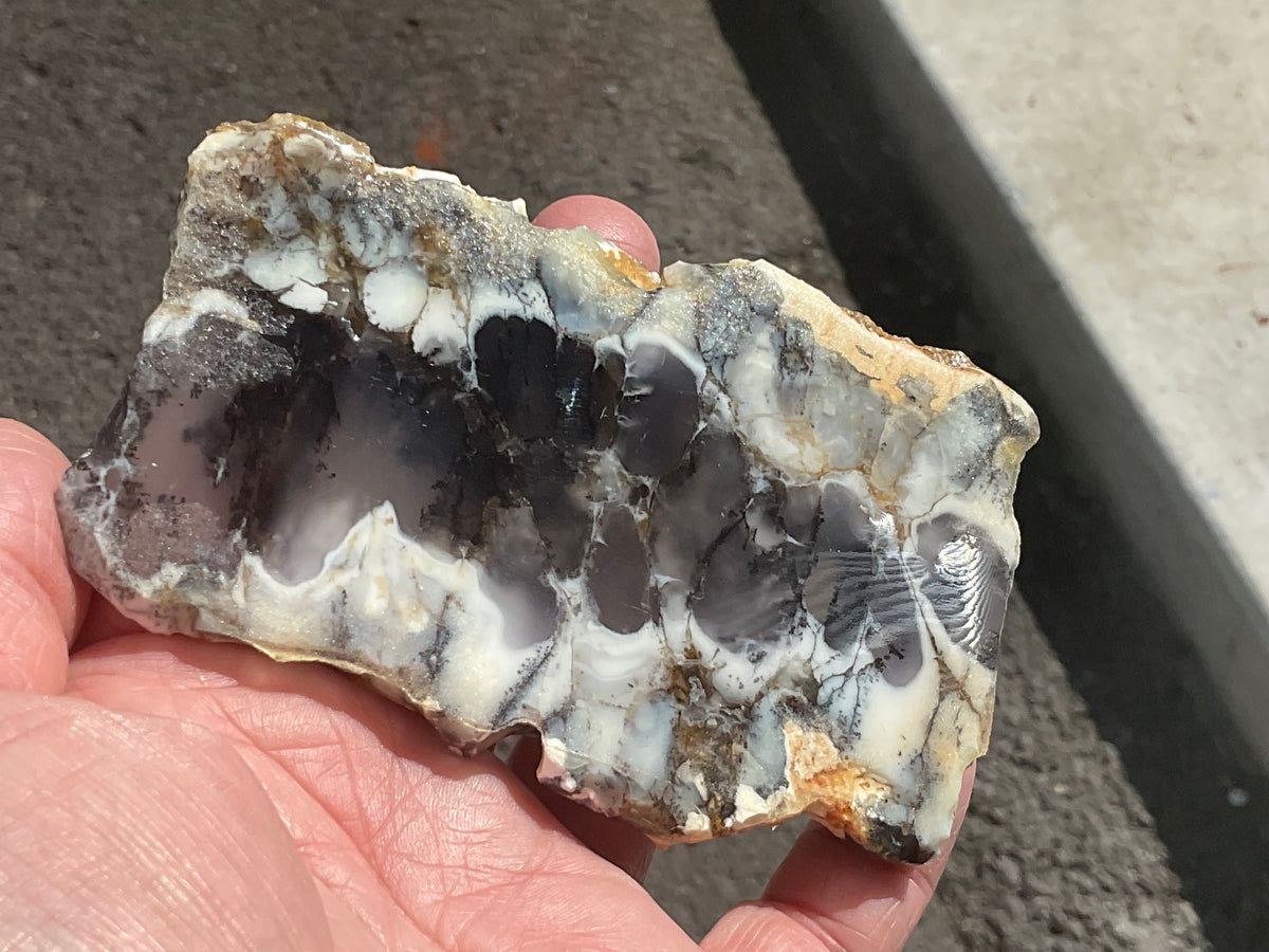 94g Australian Dendritic Common Opal with Chalcedony Slab A