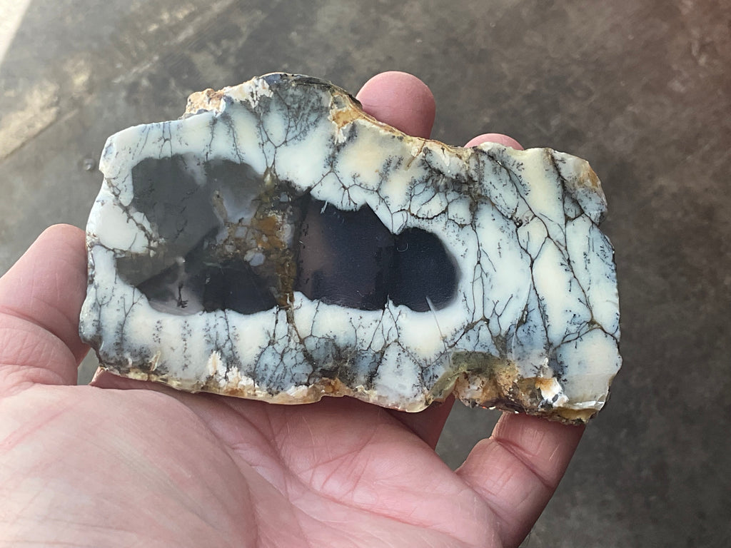 122g Australian Dendritic Common Opal with Chalcedony Slab B