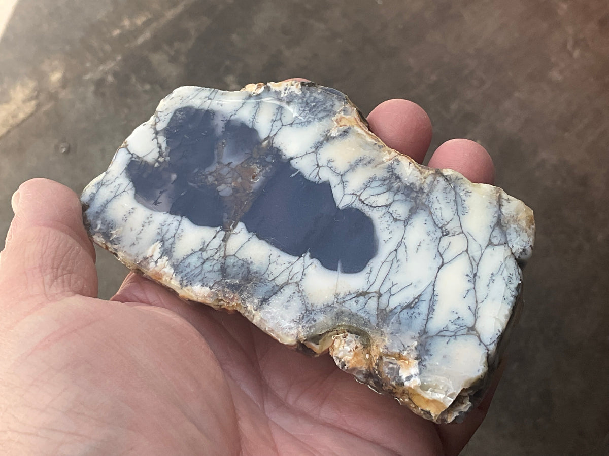 122g Australian Dendritic Common Opal with Chalcedony Slab B