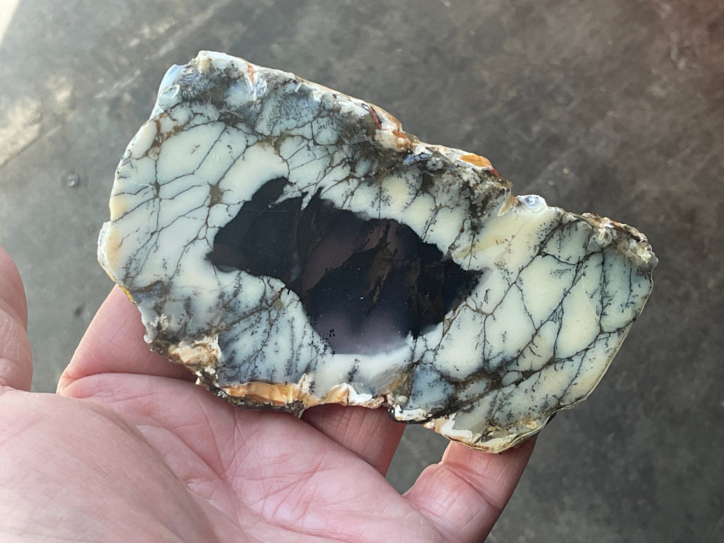 122g Australian Dendritic Common Opal with Chalcedony Slab B