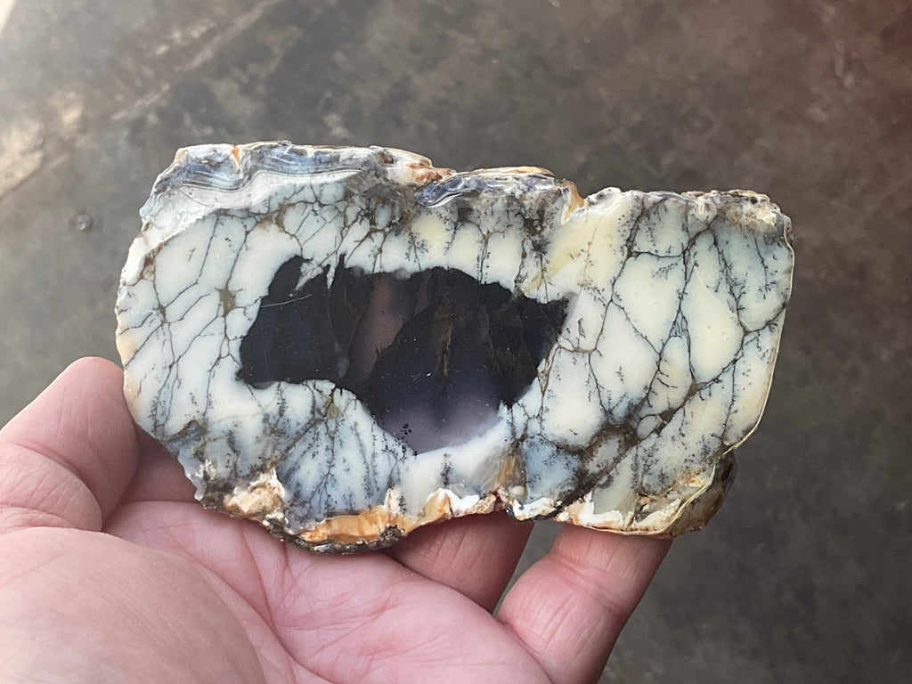 122g Australian Dendritic Common Opal with Chalcedony Slab B