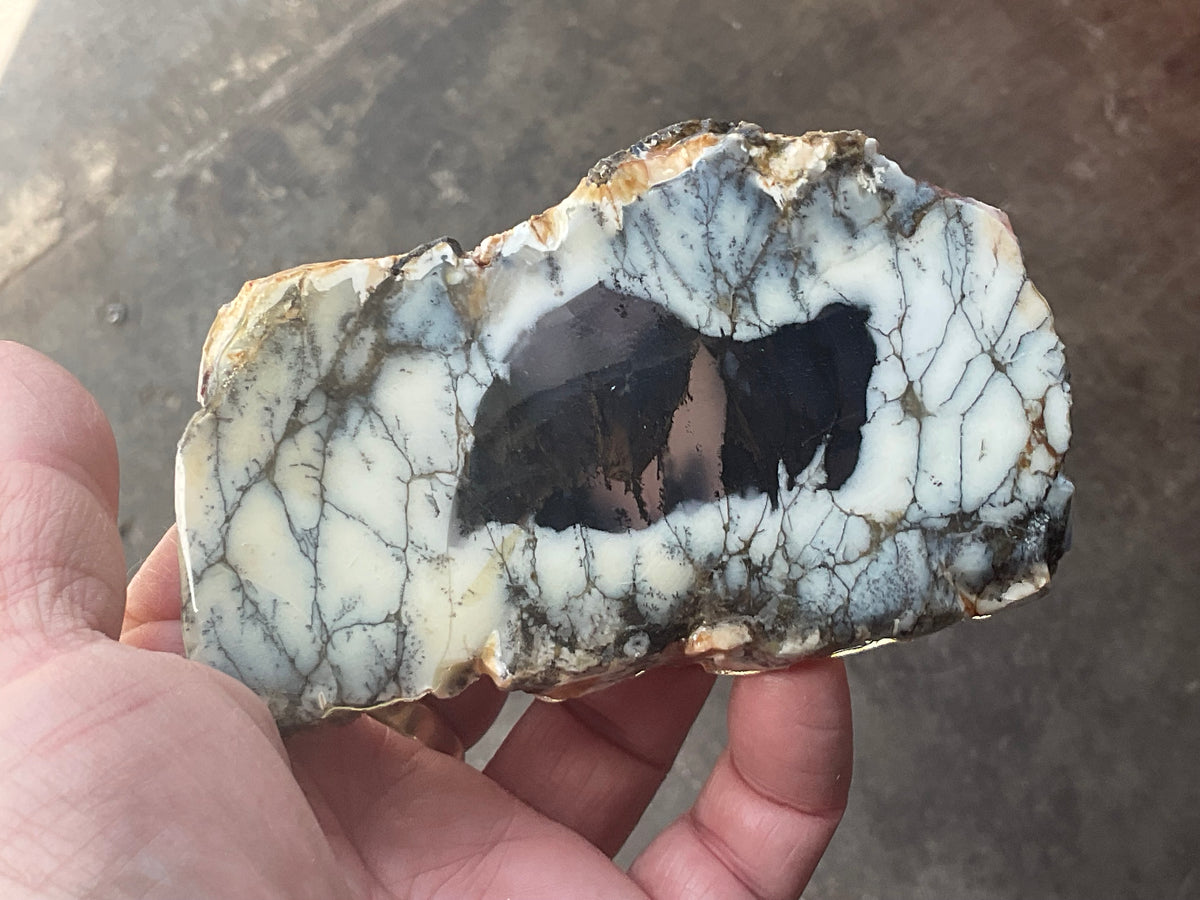 122g Australian Dendritic Common Opal with Chalcedony Slab B