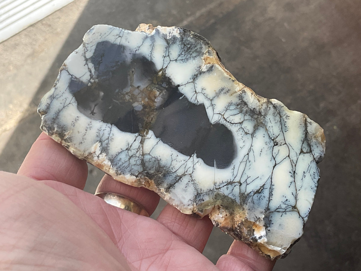 122g Australian Dendritic Common Opal with Chalcedony Slab B