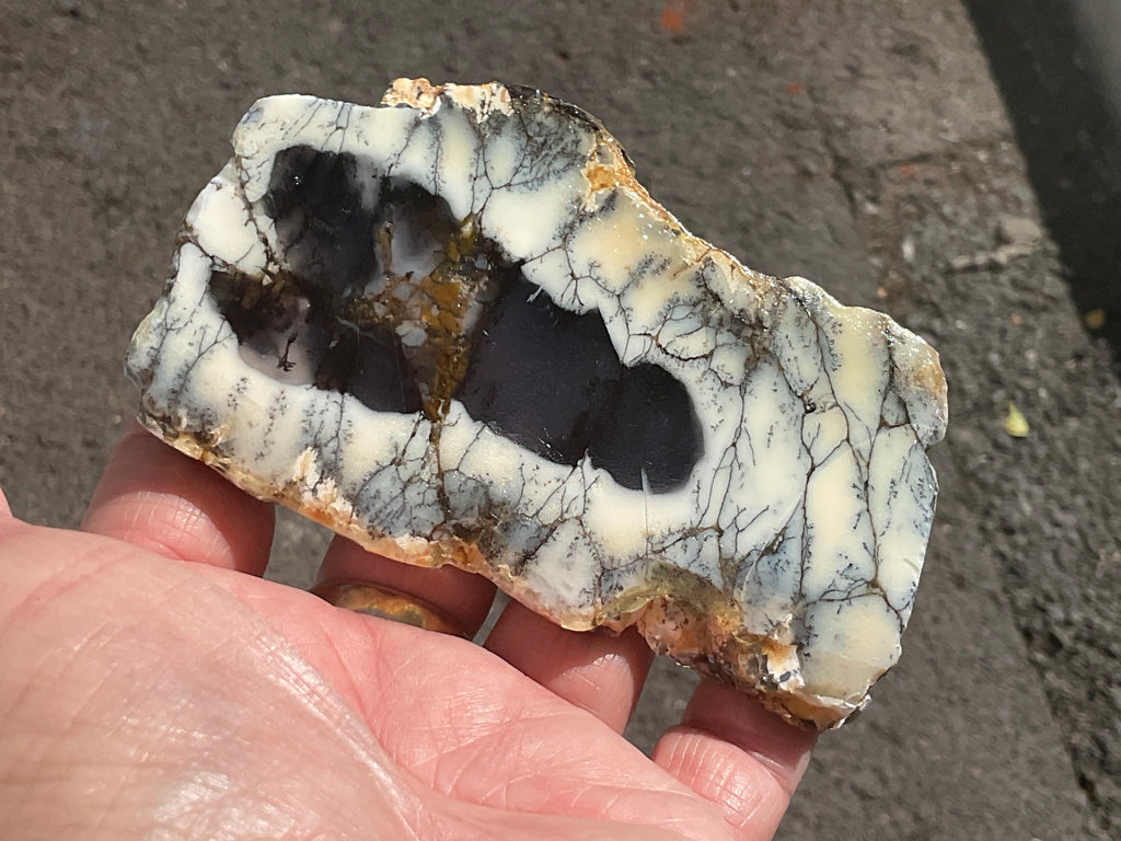 122g Australian Dendritic Common Opal with Chalcedony Slab B
