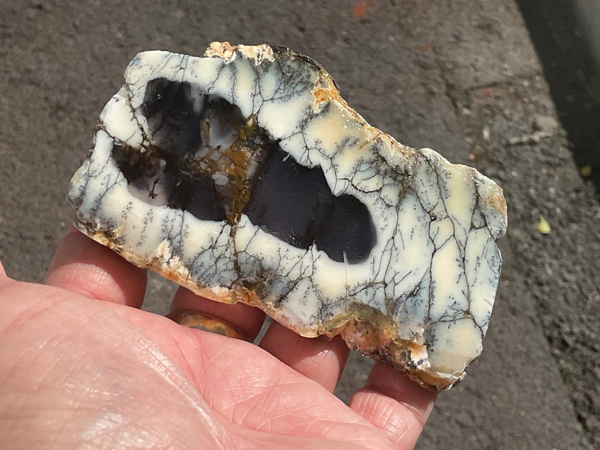 122g Australian Dendritic Common Opal with Chalcedony Slab B