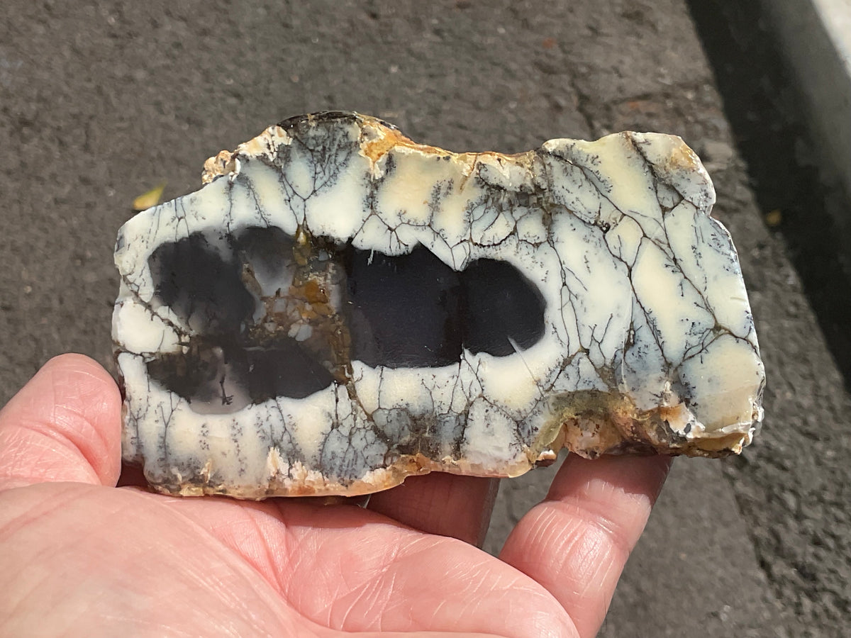 122g Australian Dendritic Common Opal with Chalcedony Slab B