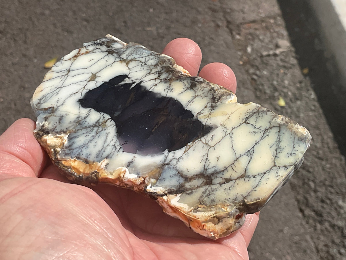 122g Australian Dendritic Common Opal with Chalcedony Slab B