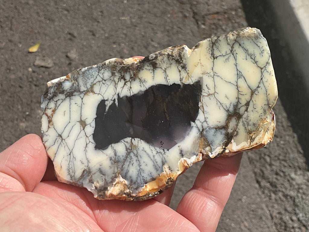 122g Australian Dendritic Common Opal with Chalcedony Slab B