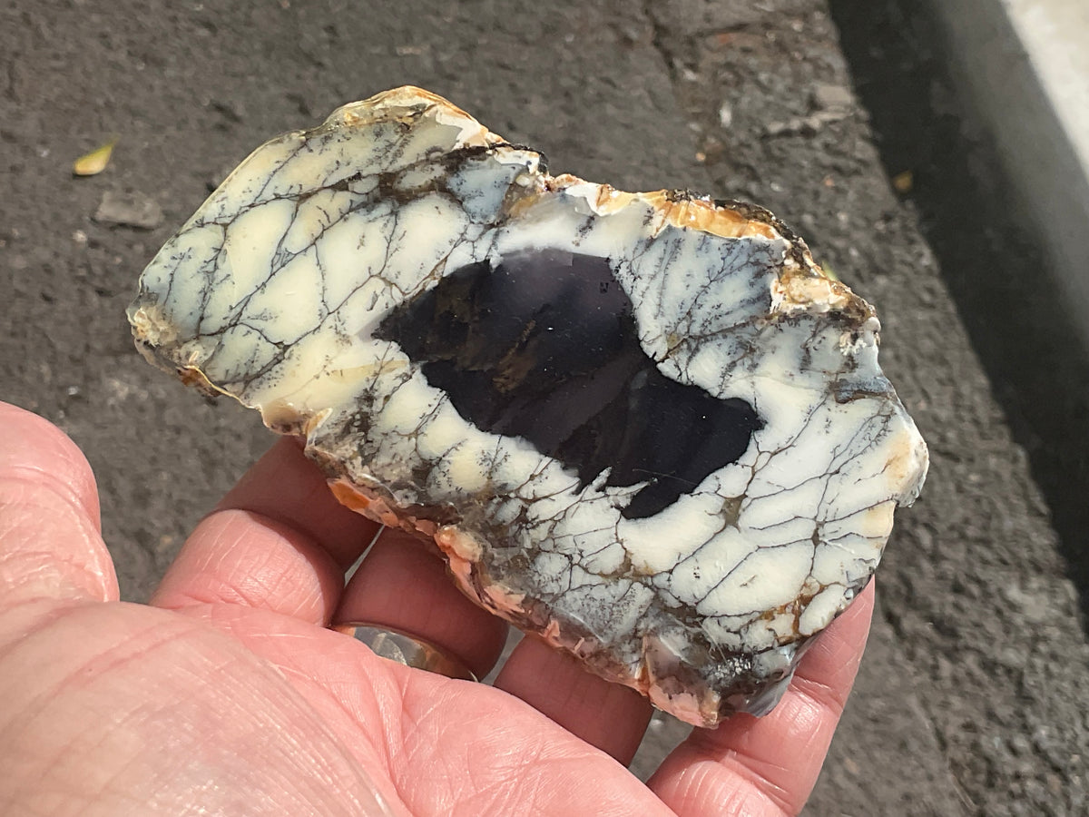 122g Australian Dendritic Common Opal with Chalcedony Slab B