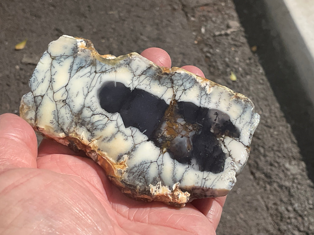 122g Australian Dendritic Common Opal with Chalcedony Slab B