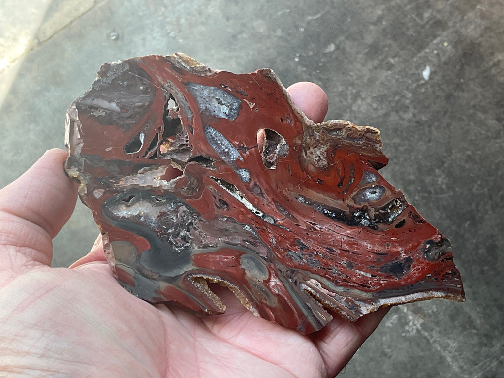 140g Conophyton Basalticum Stromatolite Polished Slab B