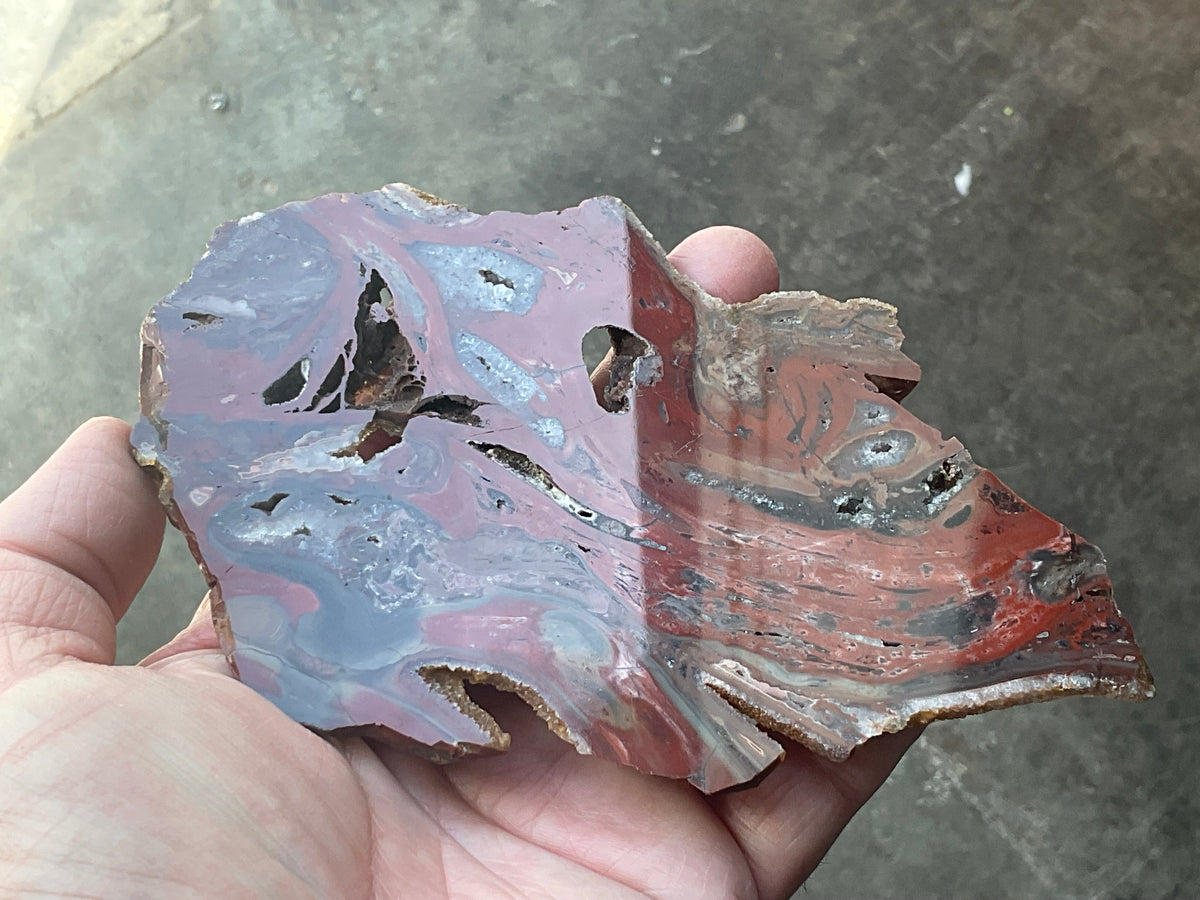 140g Conophyton Basalticum Stromatolite Polished Slab B