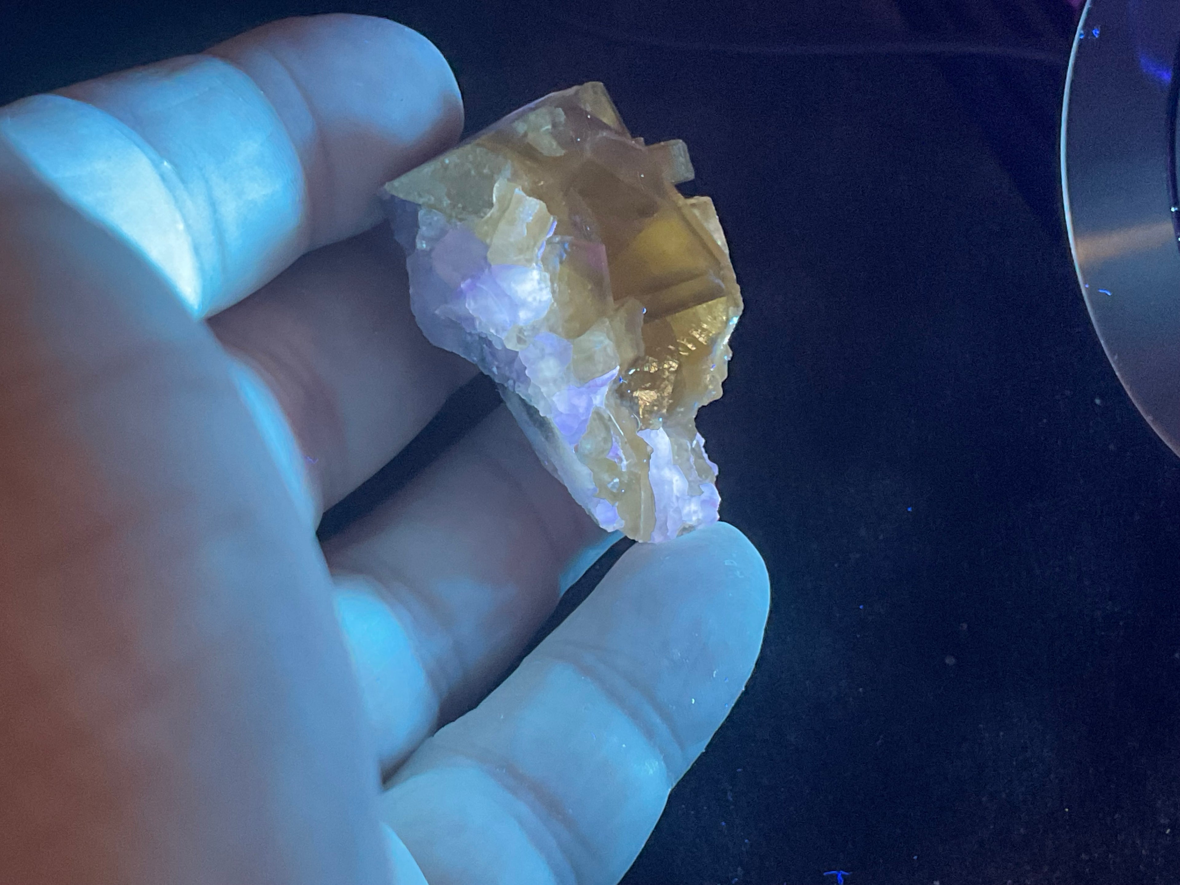 40g Tabular Golden Baryte on Botryoidal Fluorite Specimen 1A from Jiangxi