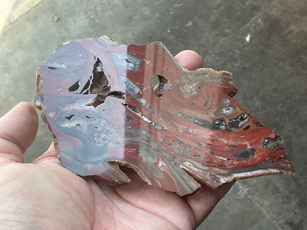 140g Conophyton Basalticum Stromatolite Polished Slab B