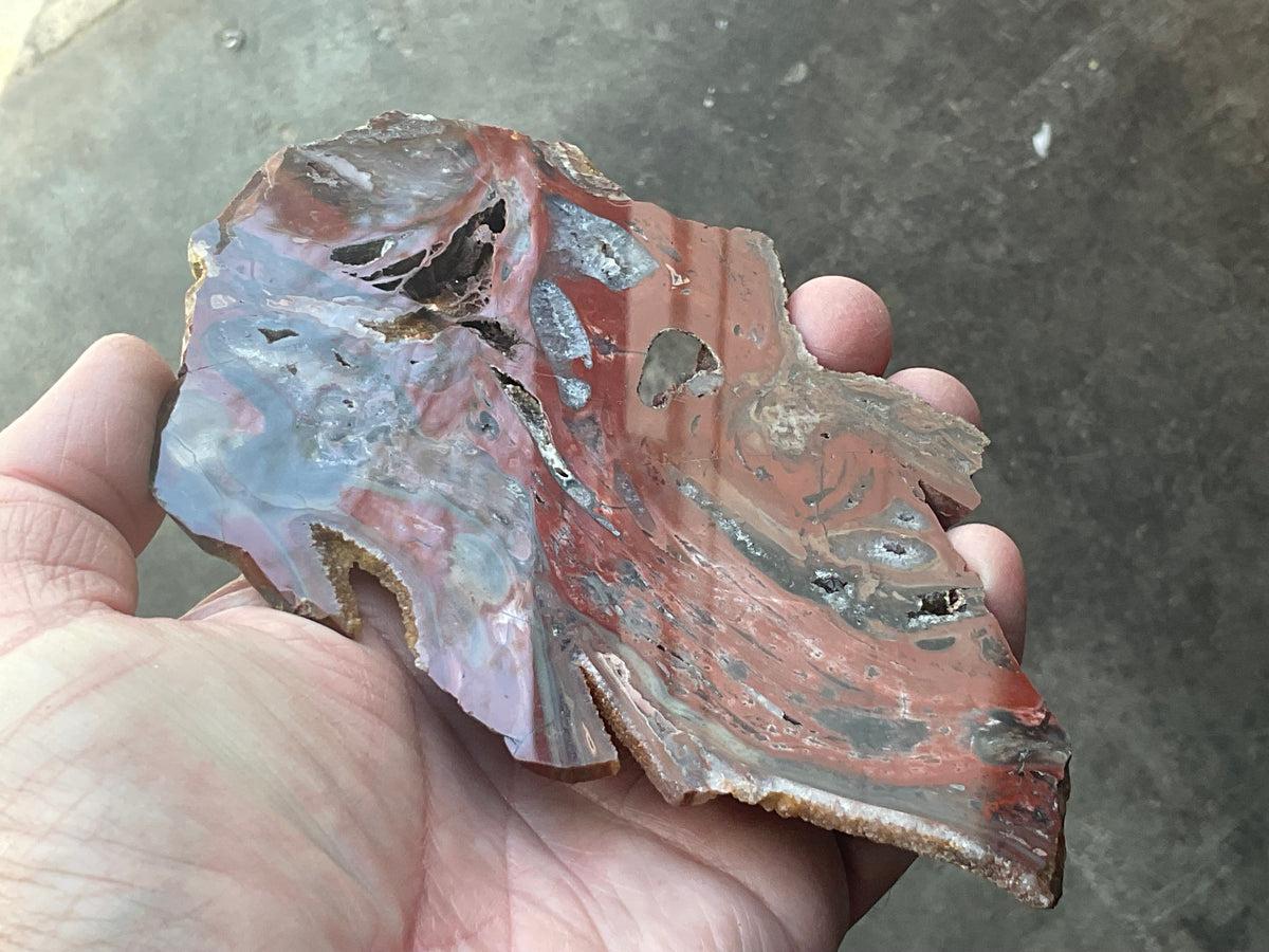 140g Conophyton Basalticum Stromatolite Polished Slab B