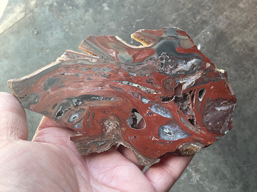 140g Conophyton Basalticum Stromatolite Polished Slab B