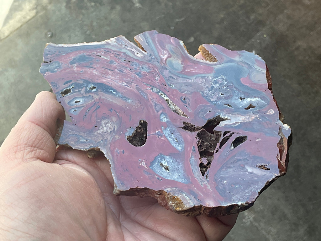 140g Conophyton Basalticum Stromatolite Polished Slab B