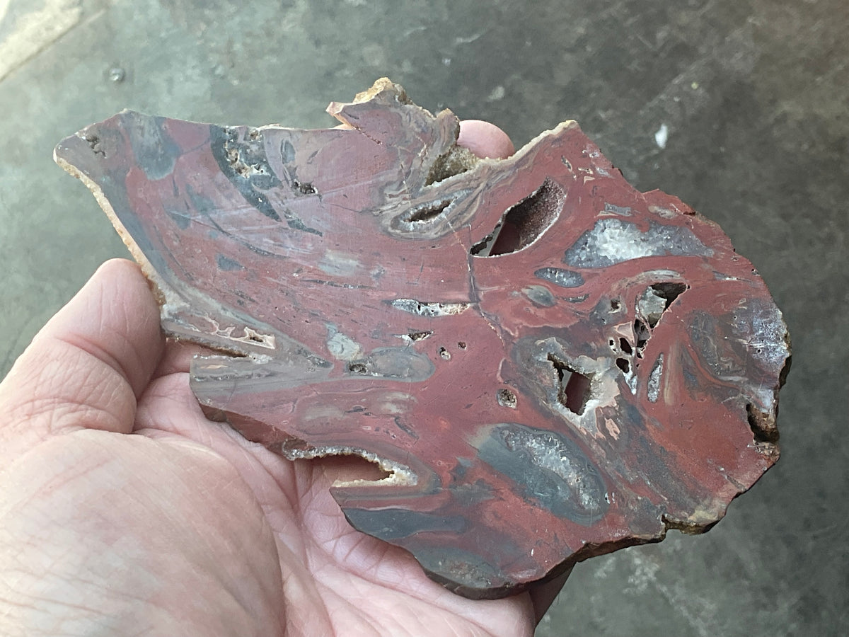 140g Conophyton Basalticum Stromatolite Polished Slab B