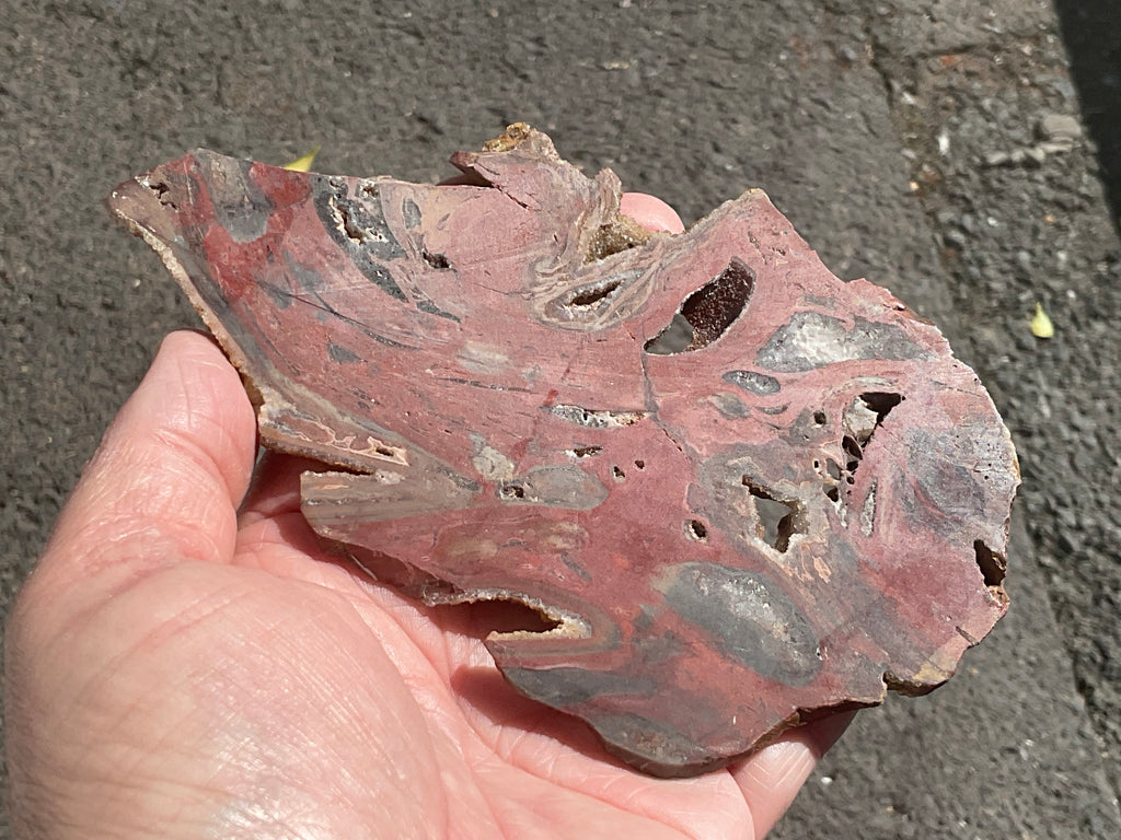 140g Conophyton Basalticum Stromatolite Polished Slab B