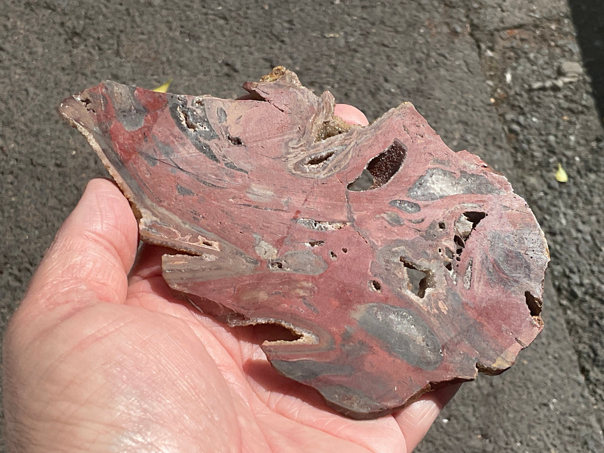 140g Conophyton Basalticum Stromatolite Polished Slab B
