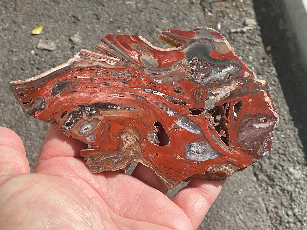 140g Conophyton Basalticum Stromatolite Polished Slab B