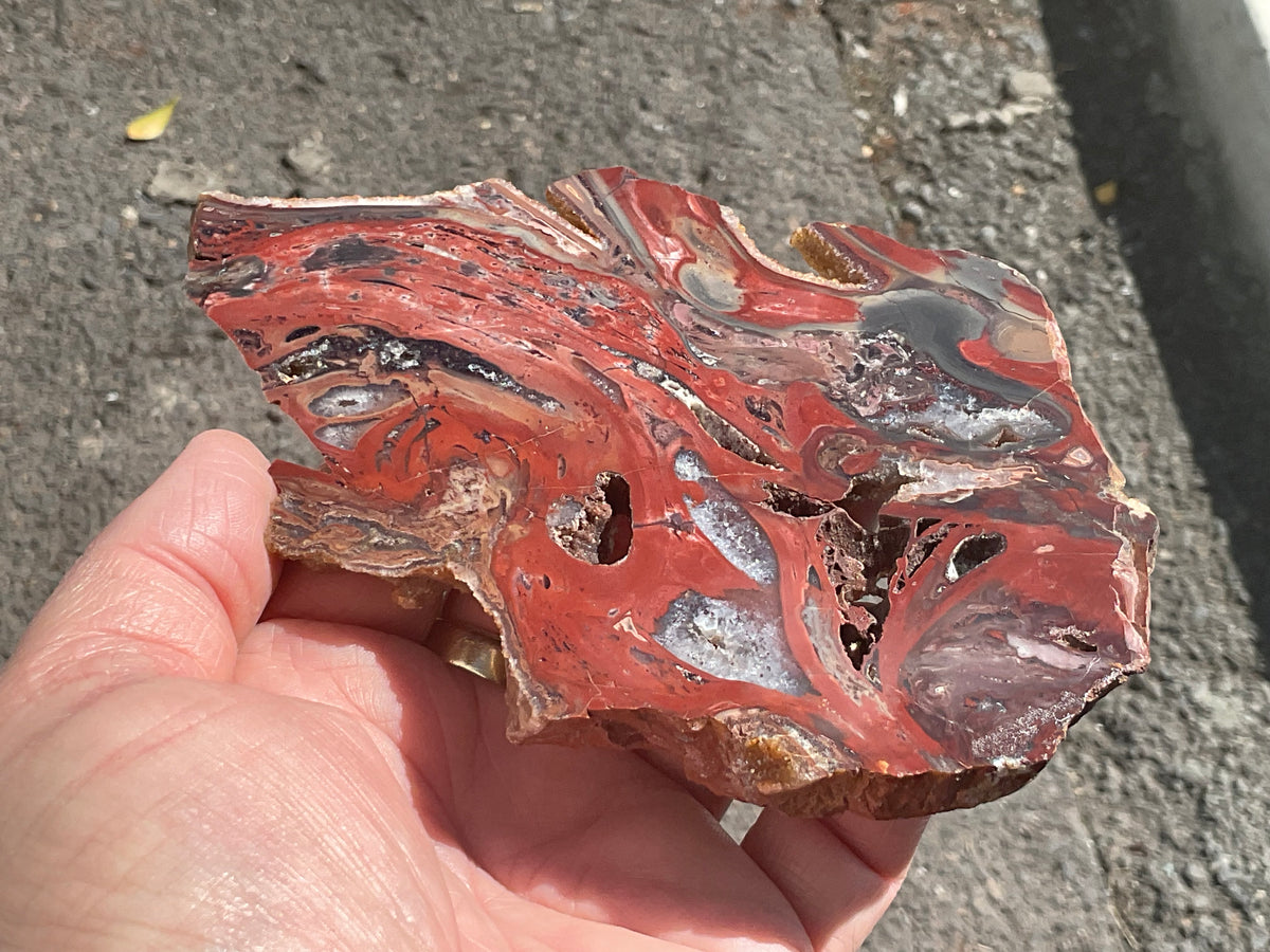 140g Conophyton Basalticum Stromatolite Polished Slab B