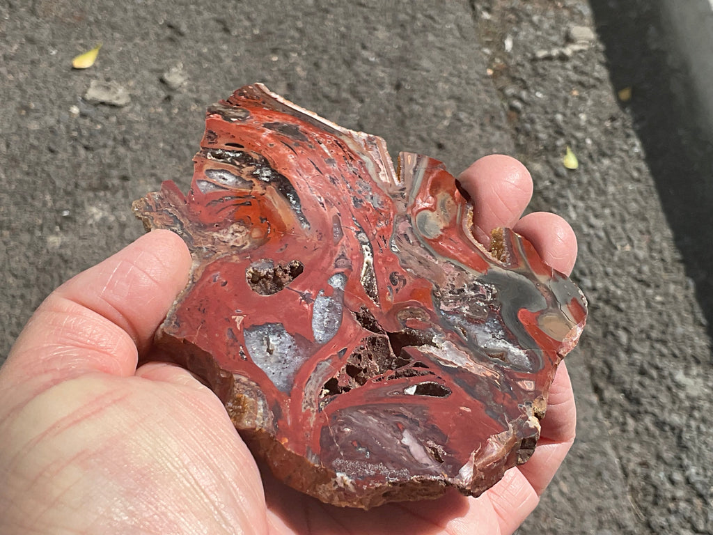 140g Conophyton Basalticum Stromatolite Polished Slab B