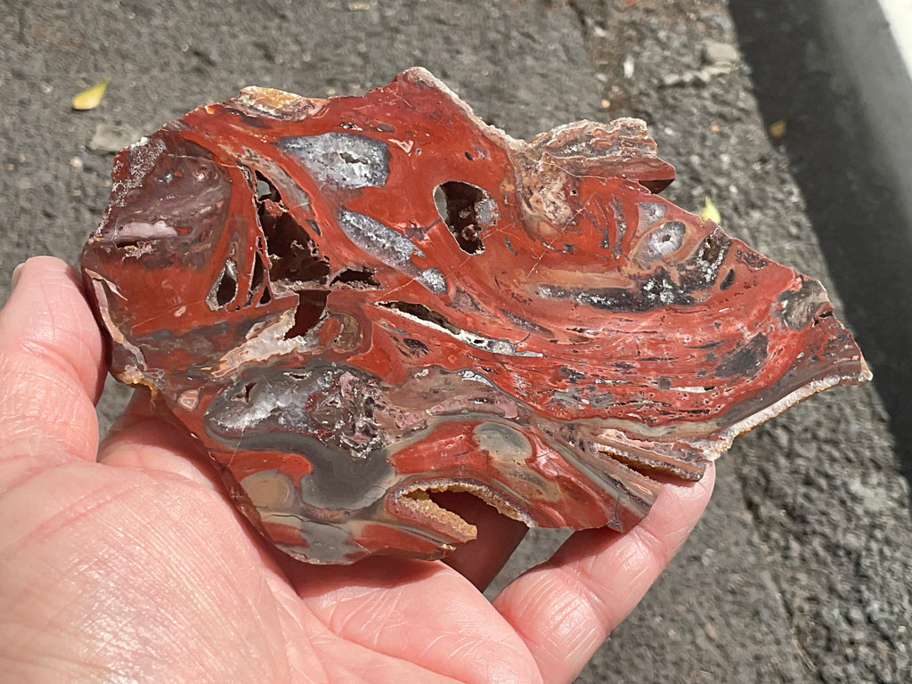 140g Conophyton Basalticum Stromatolite Polished Slab B