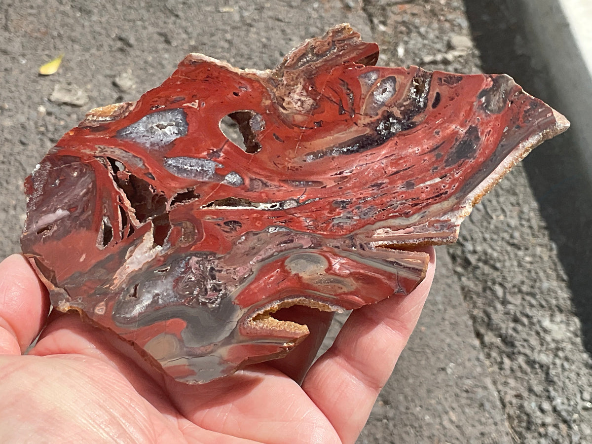 140g Conophyton Basalticum Stromatolite Polished Slab B