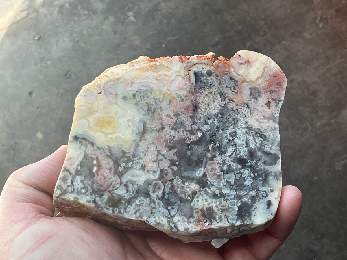 518g Australian Crazy Lace Agate Polished Slab 2A