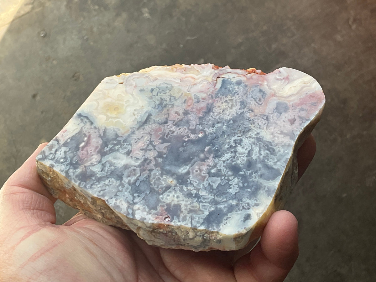 518g Australian Crazy Lace Agate Polished Slab 2A