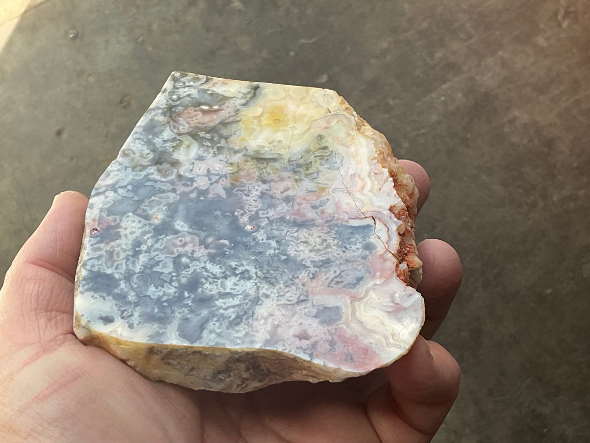 518g Australian Crazy Lace Agate Polished Slab 2A