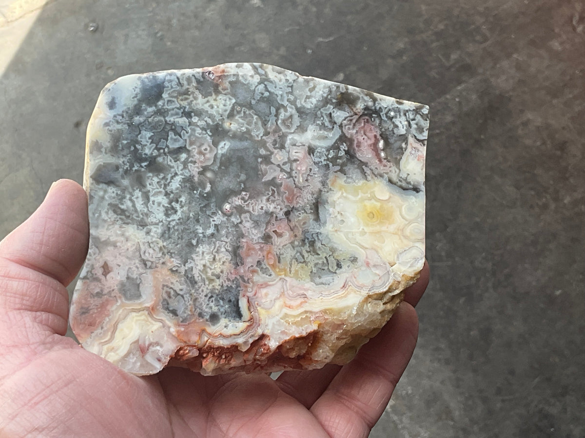 518g Australian Crazy Lace Agate Polished Slab 2A