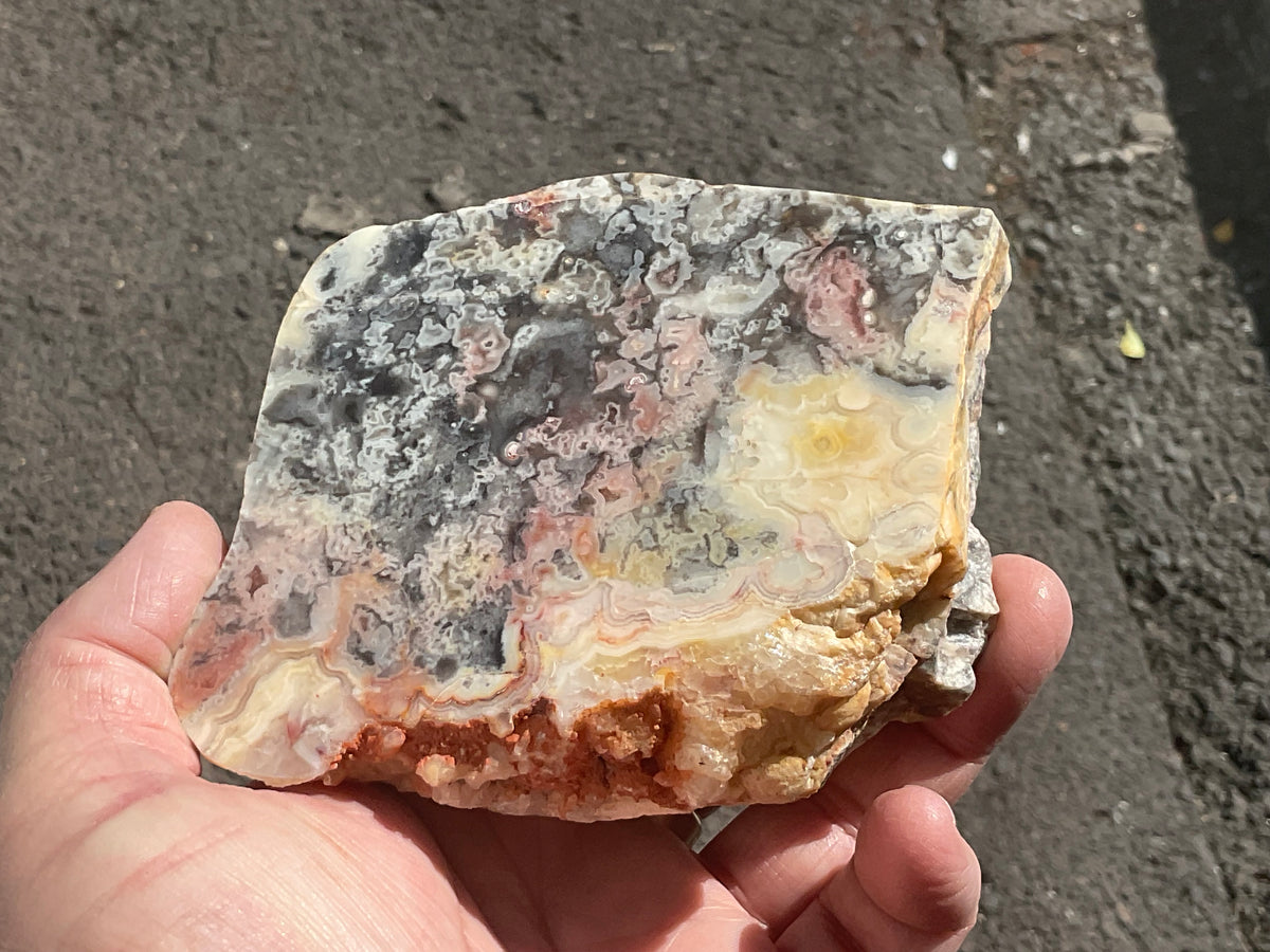 518g Australian Crazy Lace Agate Polished Slab 2A