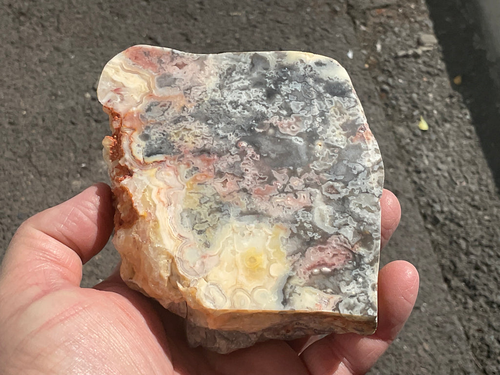 518g Australian Crazy Lace Agate Polished Slab 2A
