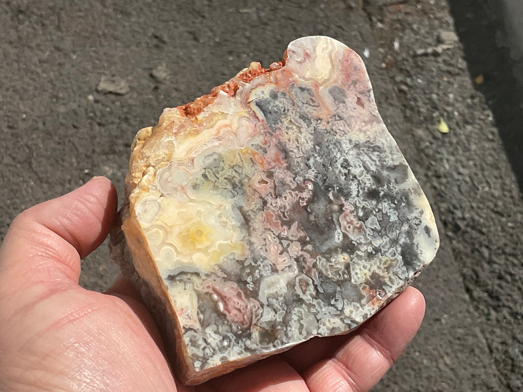 518g Australian Crazy Lace Agate Polished Slab 2A