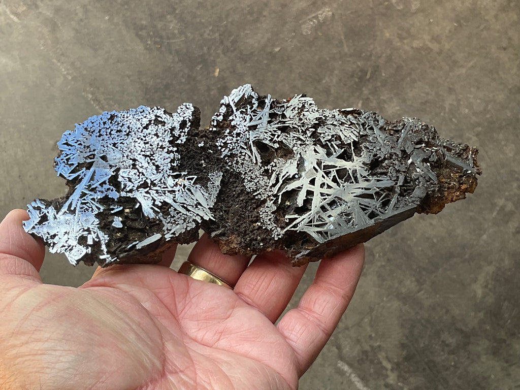 228g Poloshed Reticulated Hematite Slab
