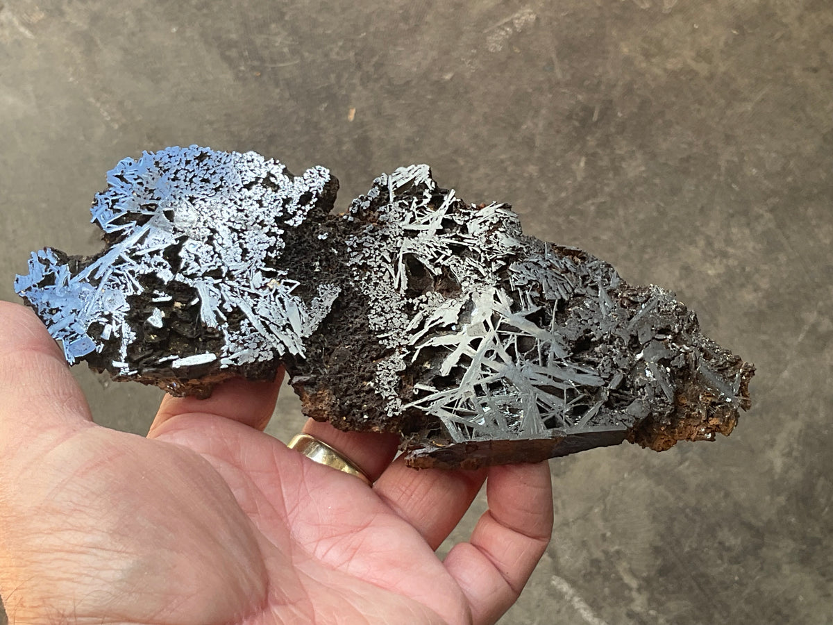 228g Poloshed Reticulated Hematite Slab