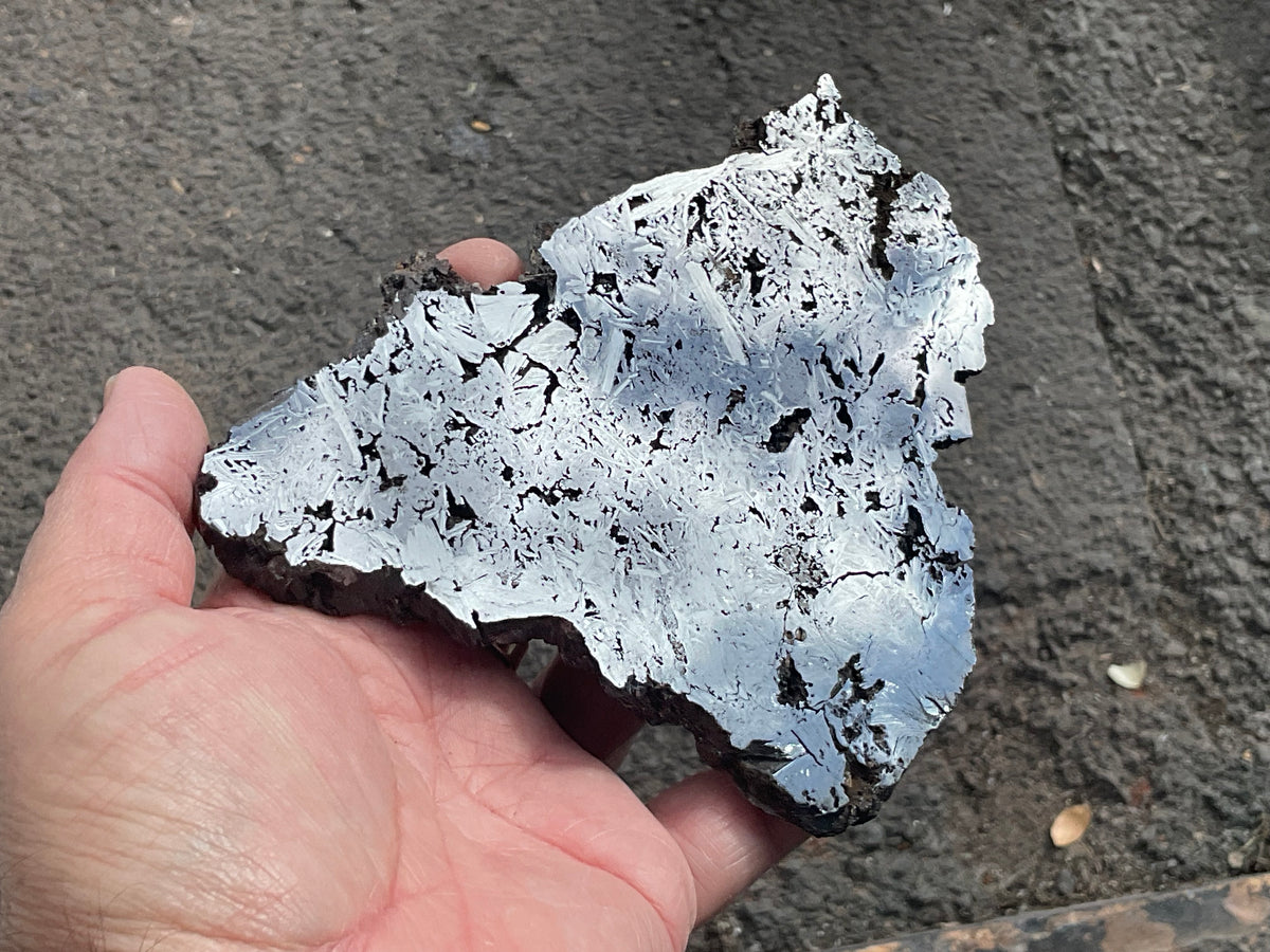 306g Polished Reticulated Hematite Slab
