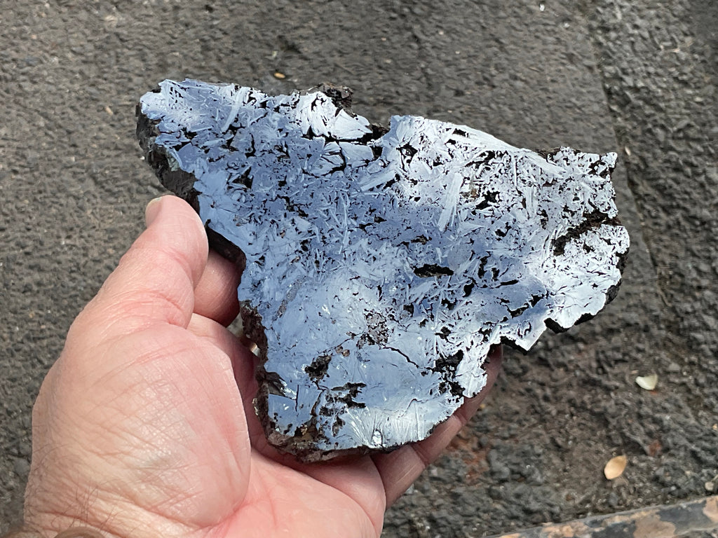 306g Polished Reticulated Hematite Slab